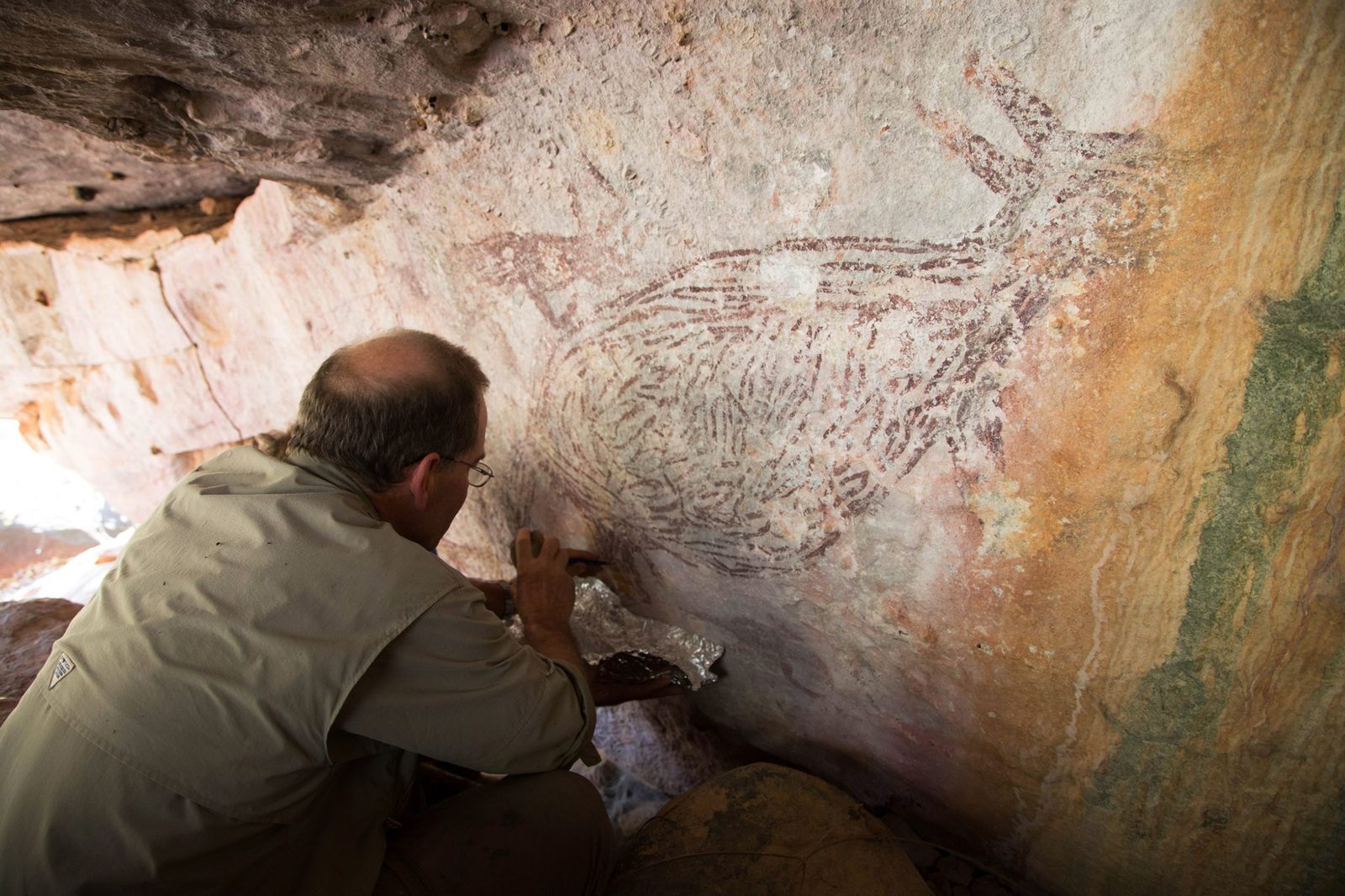Researcher Damien Finch collecting a mud wasp nest sample from a Kimberley rock shelter