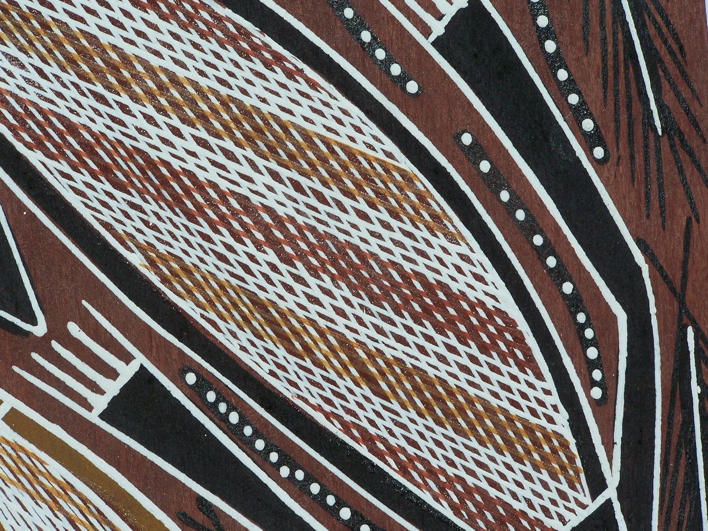 Close-up of rarrk cross-hatching brushwork on bark
