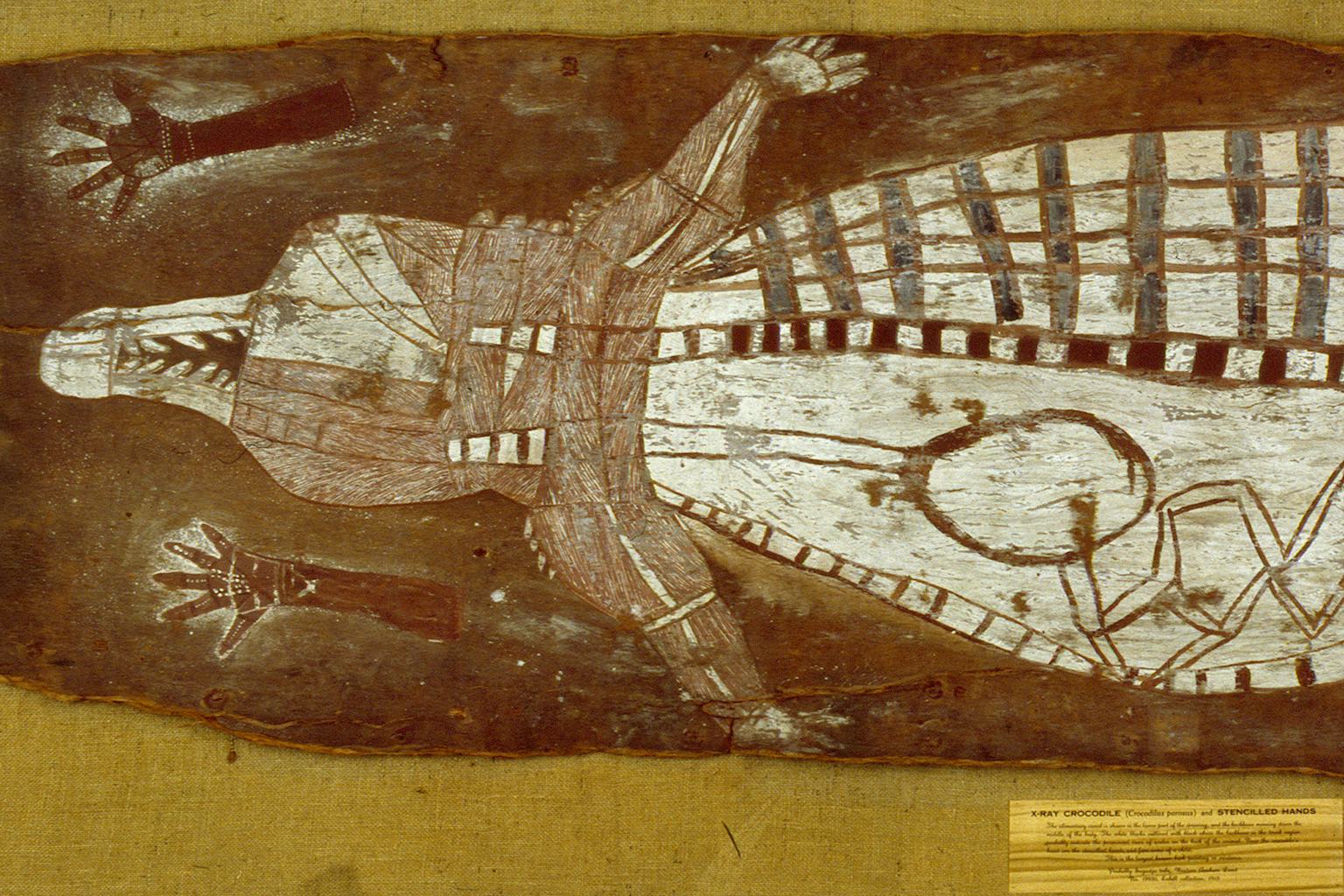 Aboriginal x-ray art bark painting of crocodile showing internal bones and organs